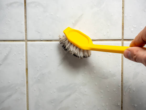 Professional Mold Remediation in Kingsville, TX